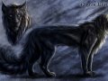 nigras_charactersheet_2013_by_blackmystica-d6lowfl.jpg